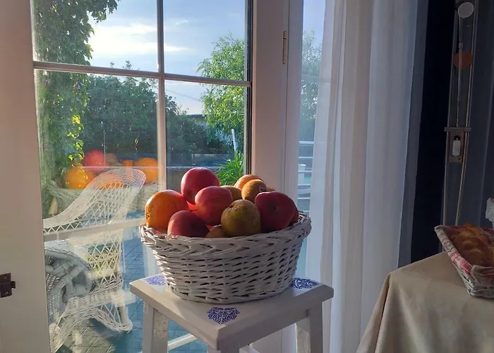 Arha De - Antiguo Albatros Суансес