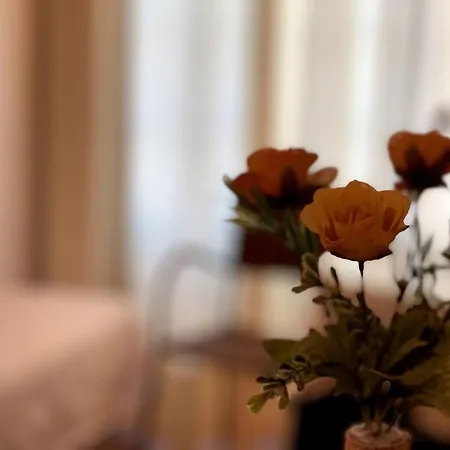 Arha De - Antiguo Albatros 3* スアンセス