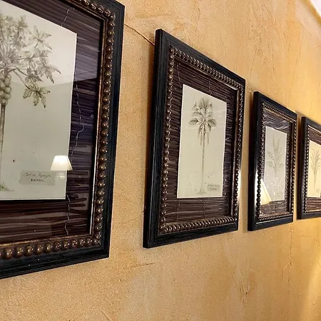 Arha De - Antiguo Albatros 3* スアンセス